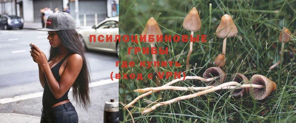 гидра Красноперекопск