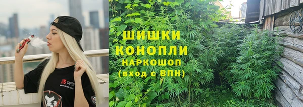 тгк Козельск