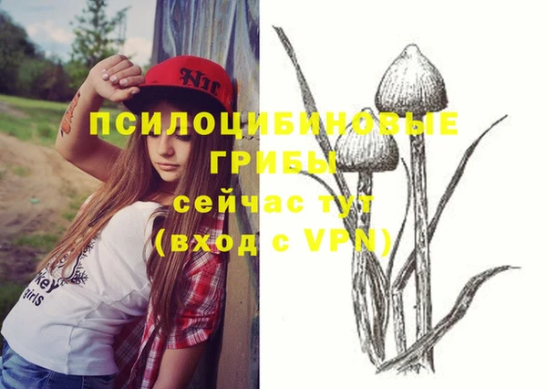 тгк Козельск