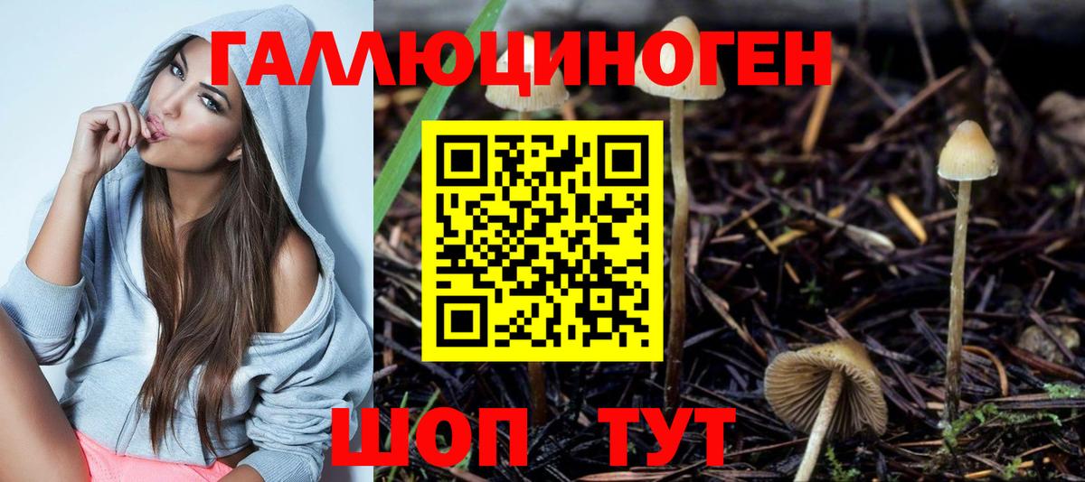 Галлюциногенные грибы мицелий  Псилоцибиновые грибы Psilocybe  Вход с VPN  сколько стоит  Лангепас 